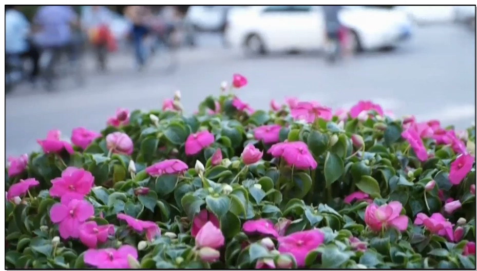 【逍遥】变态医生之孪生姐妹 上 邢嘉妮