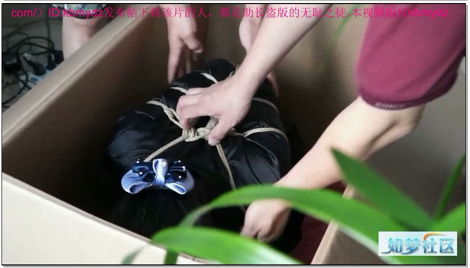 【逍遥】缚美礼品私家会所1人贩很忙-邢嘉妮 董倩 丹丹 依然