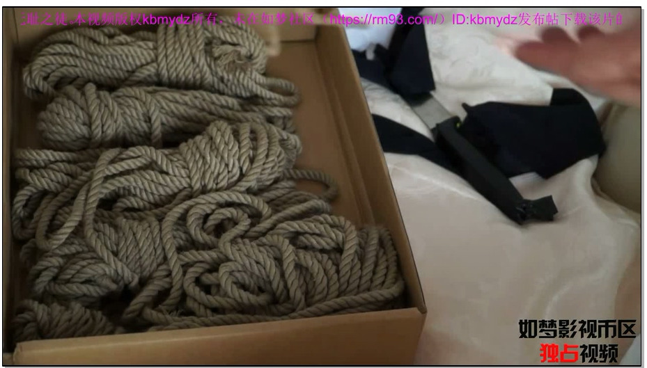 【逍遥】陌生的危机 上 依然