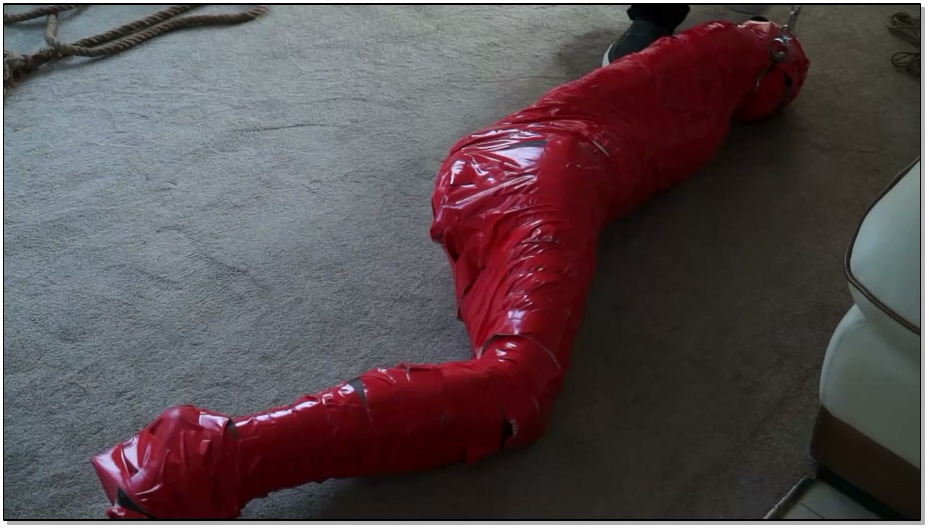 【逍遥】女间谍的沦落 上