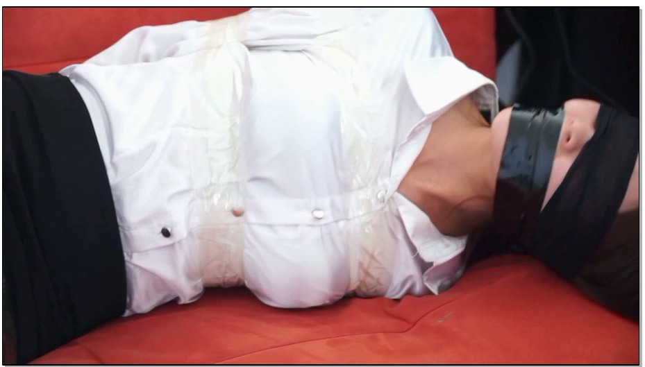 【逍遥】办公室惊魂1-办公室遭劫