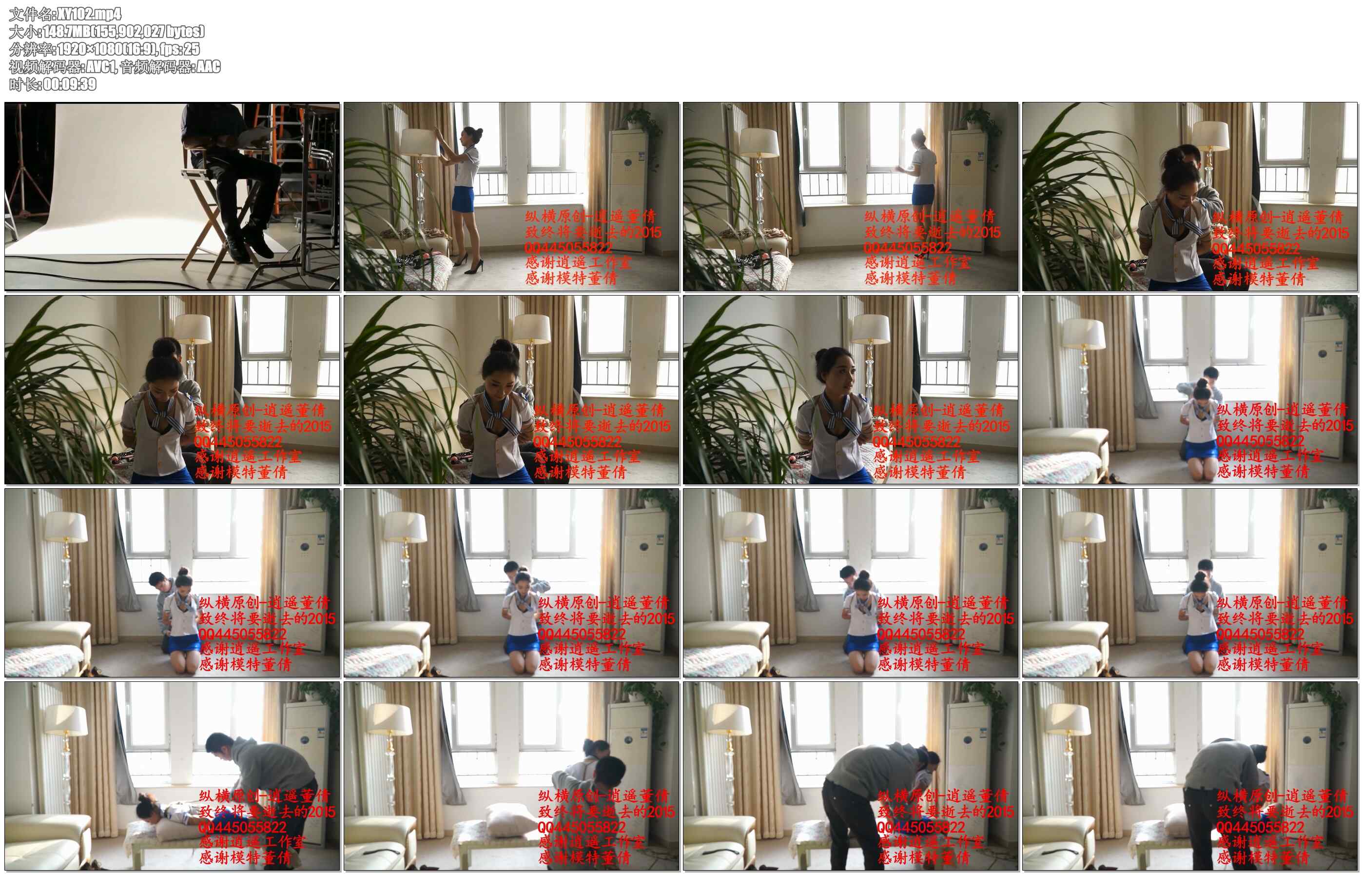 【逍遥】董倩致-终将要逝去的2015