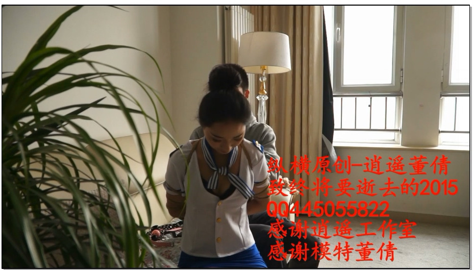 【逍遥】董倩致-终将要逝去的2015