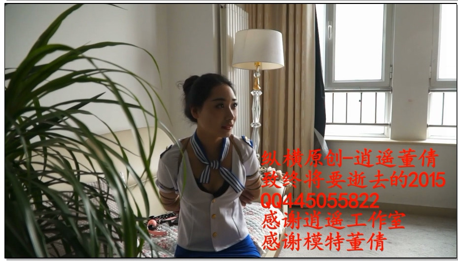 【逍遥】董倩致-终将要逝去的2015