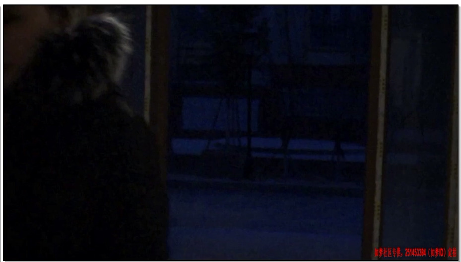 【逍遥】绑架女模特上集