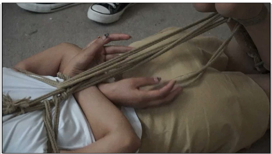 【逍遥】家教惊魂 下- 猥琐男竟是人贩子，美女董倩后果如何