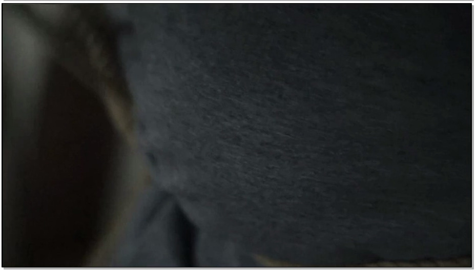 【逍遥】网聊的危机下,依然难忍捆绑瘙痒,告诉银行卡密码,最终难逃厄运