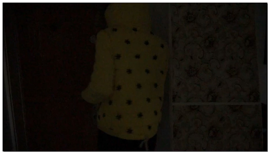 【逍遥】精品制作 校园D的噩梦 女大学生为还校园贷盗窃被抓