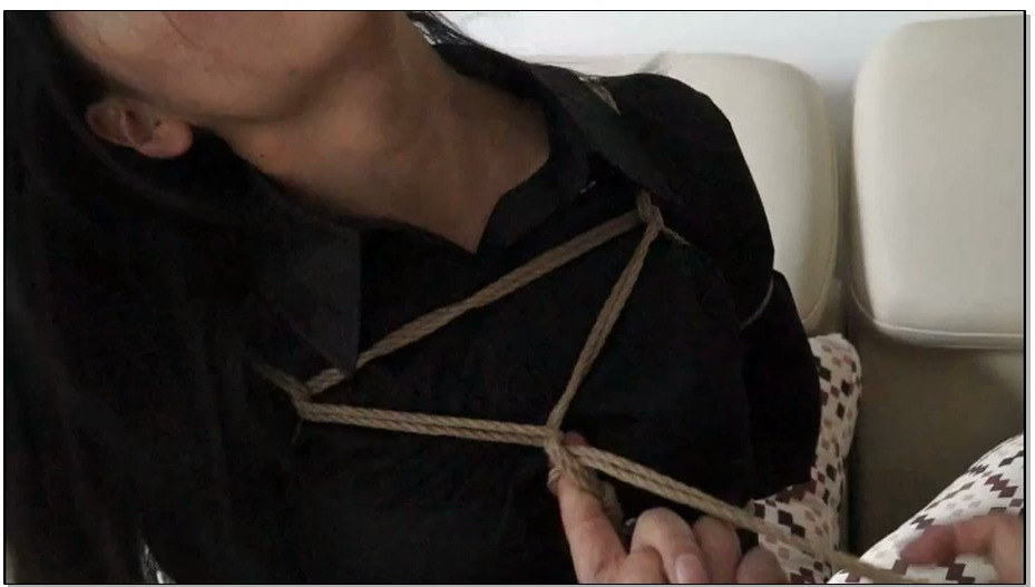 【逍遥】精品制作 校园D的噩梦 女大学生为还校园贷盗窃被抓