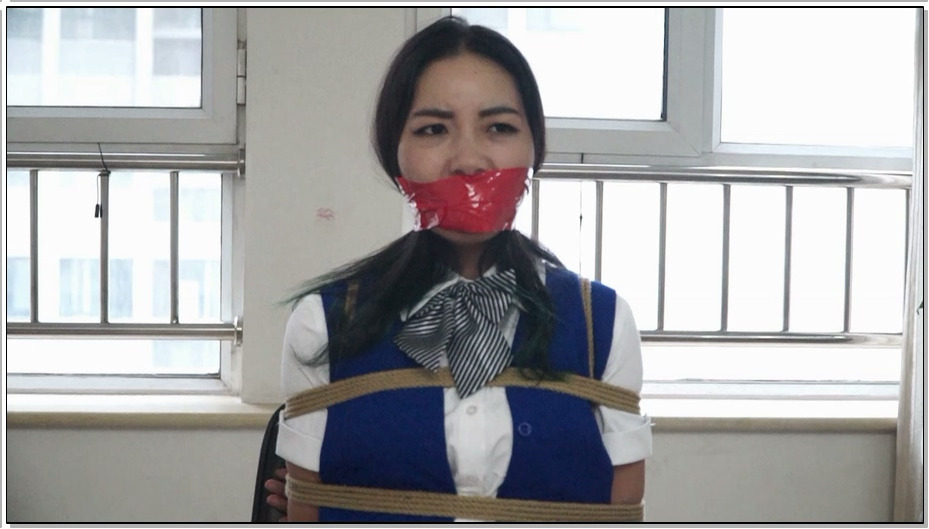 【逍遥】禁锢空姐 “口球” “丝袜”“内裤”还有纸和高跟 各种堵美