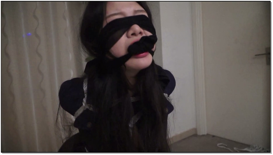 【逍遥】劫匪手册第一部 入室抢劫 下