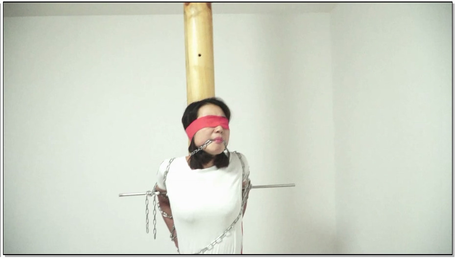 【逍遥】潜在的报复因子——林凡的阴谋