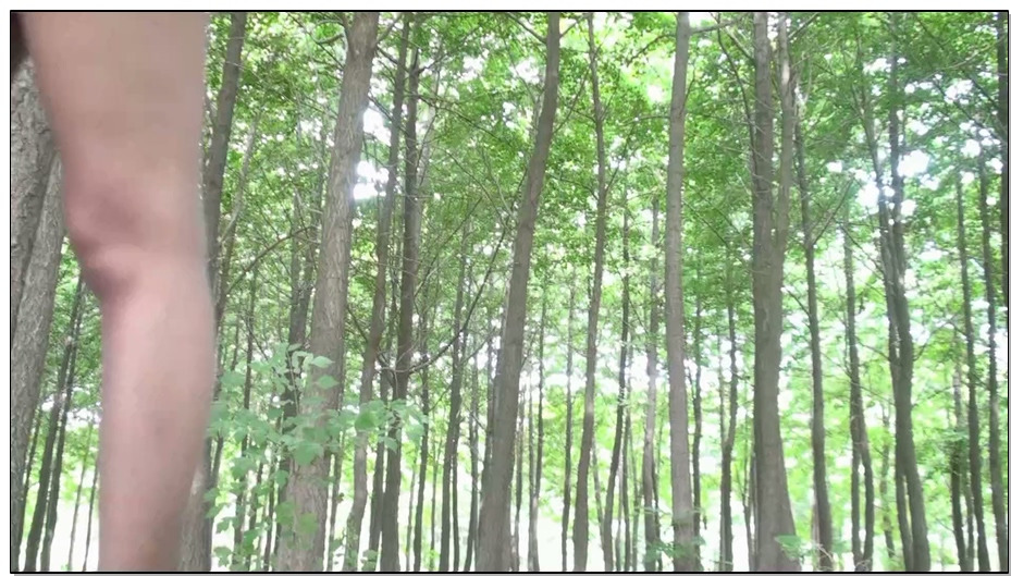 【逍遥】野外劫持美女夏艳 口球 项圈 铁链 户外押解 驷马紧缚