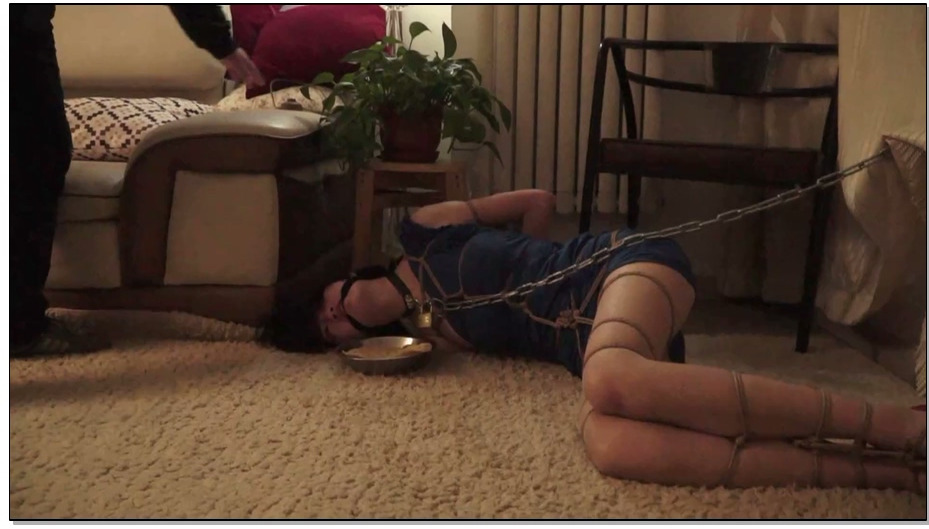 【逍遥】囚食-王玉