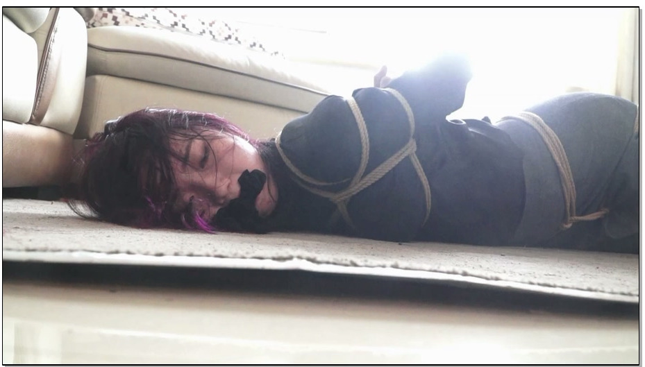 【逍遥】学生老师-夏炎 李宁馨丝袜嘟嘴 日式驷马 跪走 调教