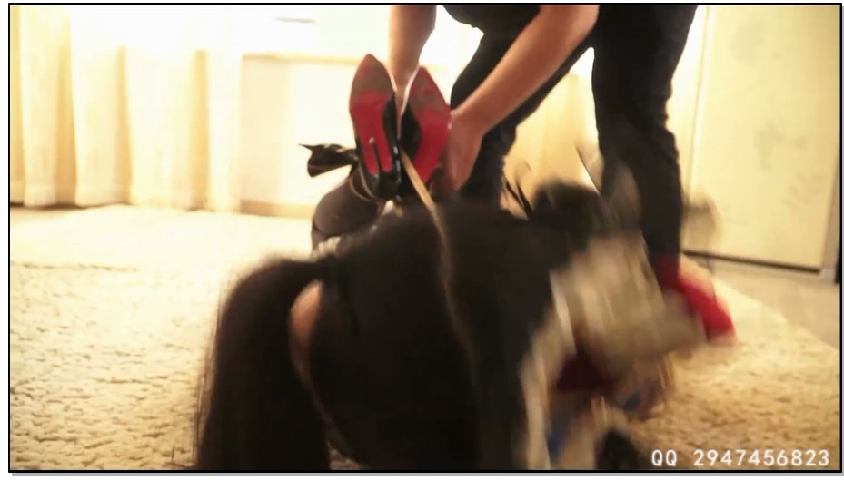 【逍遥】可爱少NU中计成女仆 第三集