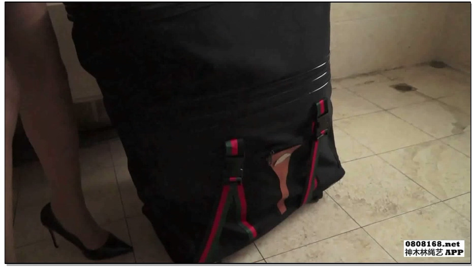 【逍遥】失踪案的幕后黑手01，找工作的女孩一定要注意不要去黑店