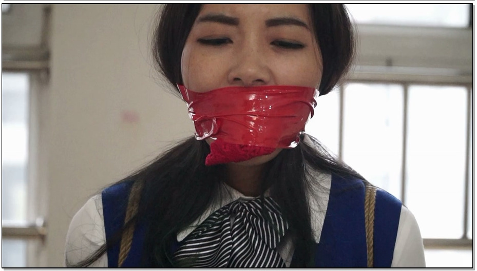 【逍遥】董倩的塞嘴（棉袜，丝袜。内裤，卫生纸…..）