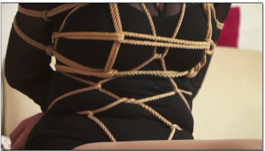 【逍遥】快递里的圈套 董嘉怡