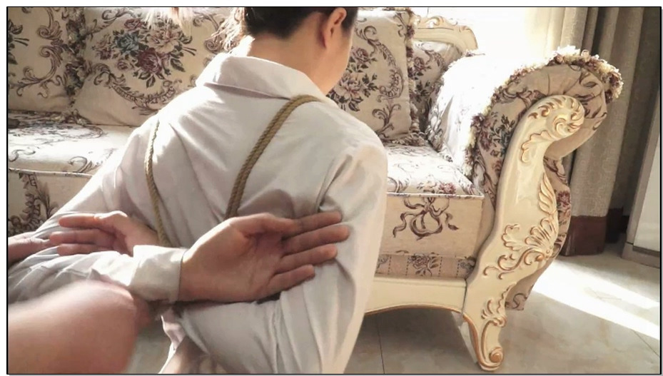 【逍遥】神奇的手机 上 （警花的笔记本改编 ）