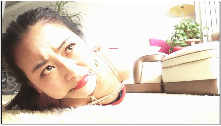 【逍遥】好身材美女的紧缚调教 犬缚跪爬，驷马，绳绳到肉