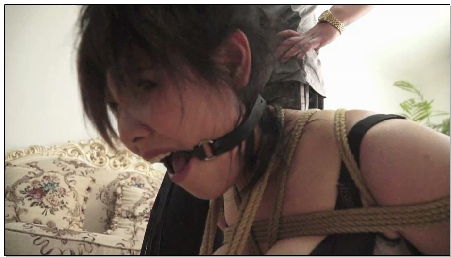 【逍遥】商业间谍–姐妹受缚2