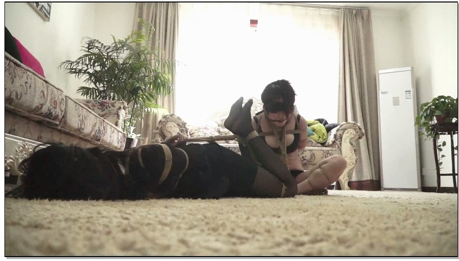 【逍遥】商业间谍–姐妹受缚2