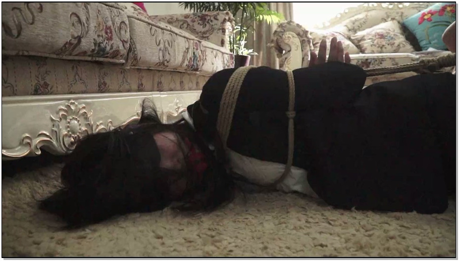 【逍遥】商业间谍–姐妹受缚2