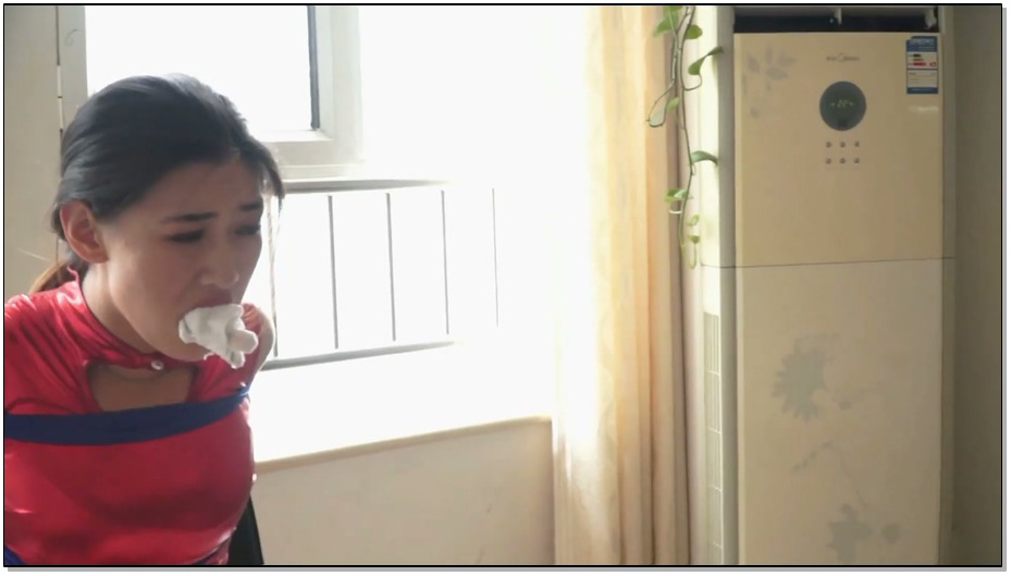 【逍遥】罗薇薇花式堵嘴