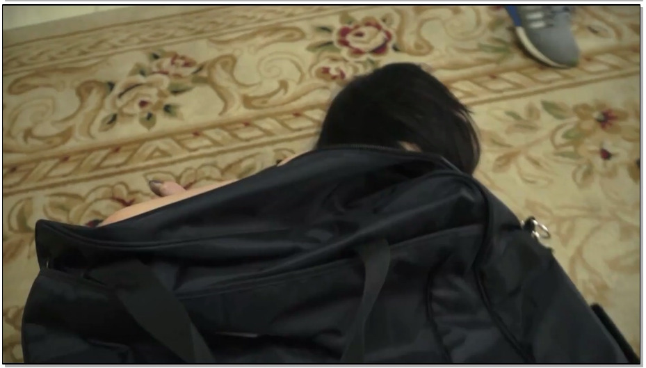 【逍遥】交货-提包里的佟娅