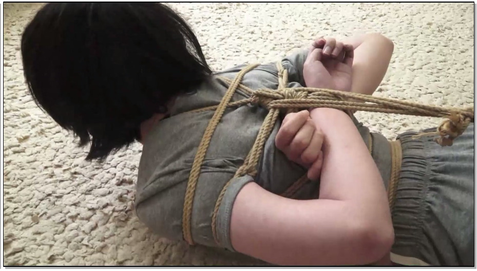 【逍遥】伪装成快递入室打劫 新模逯瑶 