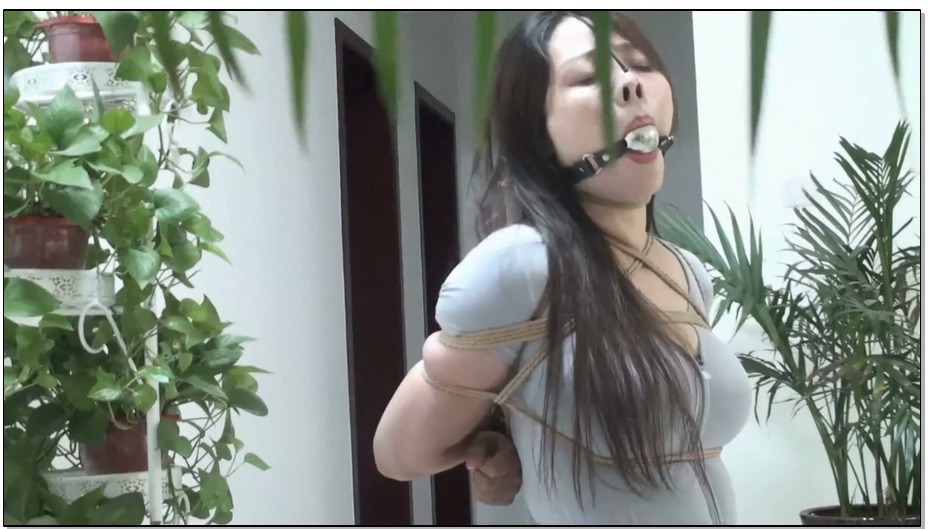 【逍遥】紧缚李然 一言不合就是捆