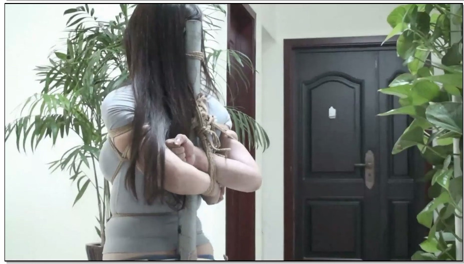 【逍遥】紧缚李然 一言不合就是捆