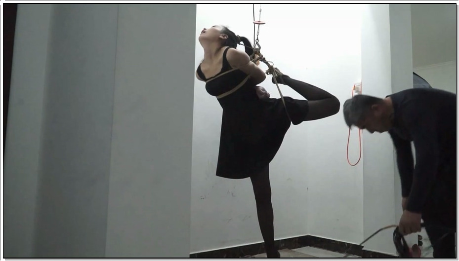 【逍遥】老迷糊麻三摧残夏炎2