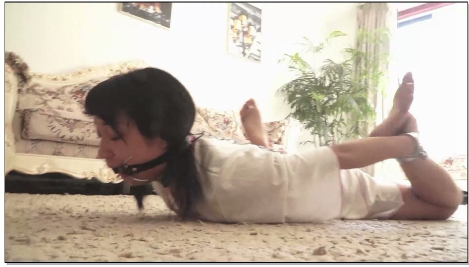 【逍遥】铁锁王茹