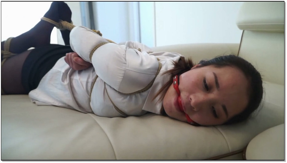 【逍遥】奴隶秘书李雪