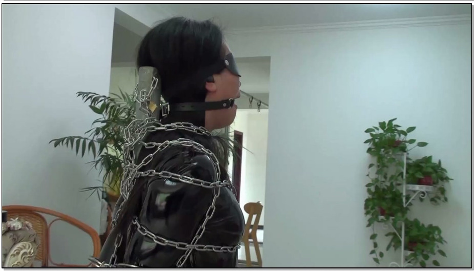 【逍遥】女魔术师的慈善逃脱秀 夏炎