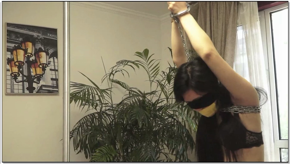 【逍遥】被金属绳子折磨的两位内衣美女