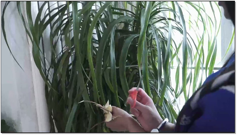 【逍遥】女犯化管理，夏炎的居家监禁生活访谈