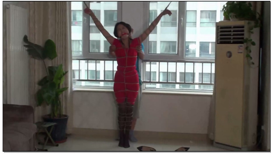 【逍遥】上门美女的遭遇