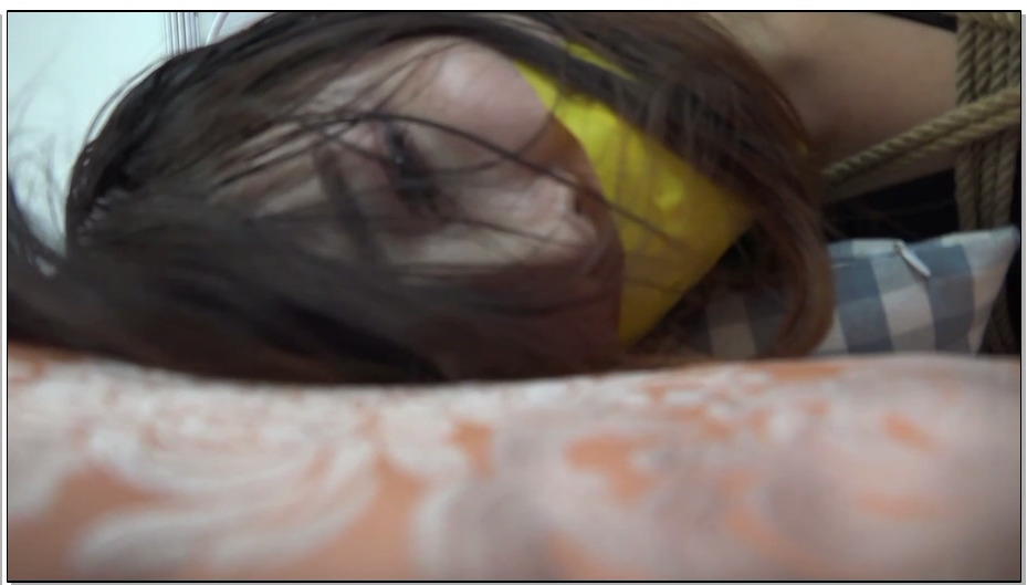 【逍遥】我的M是女王 下