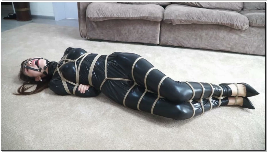 【逍遥】女搜查官的48小时第1集