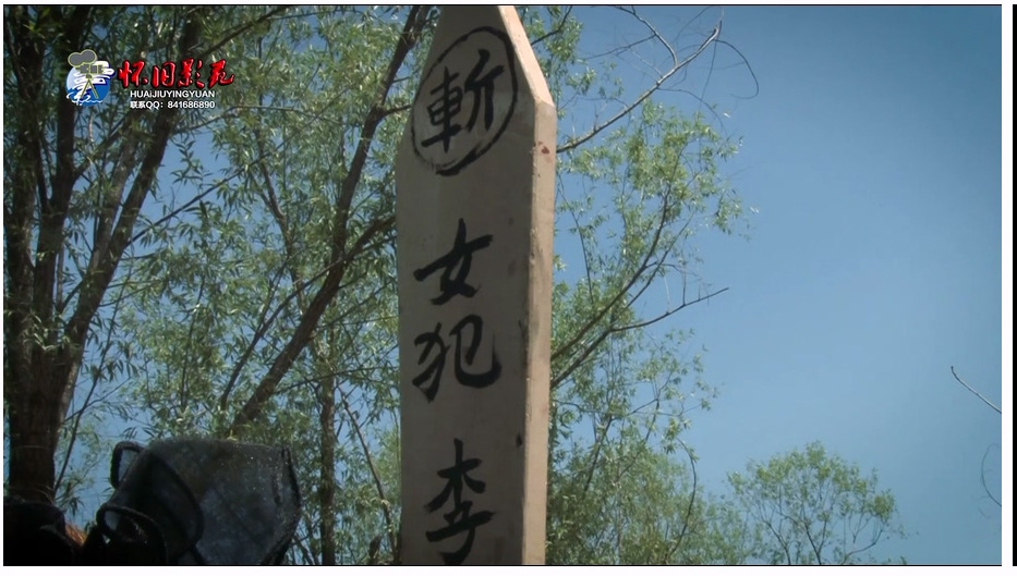 【怀旧影苑】唐宫落燕 下集