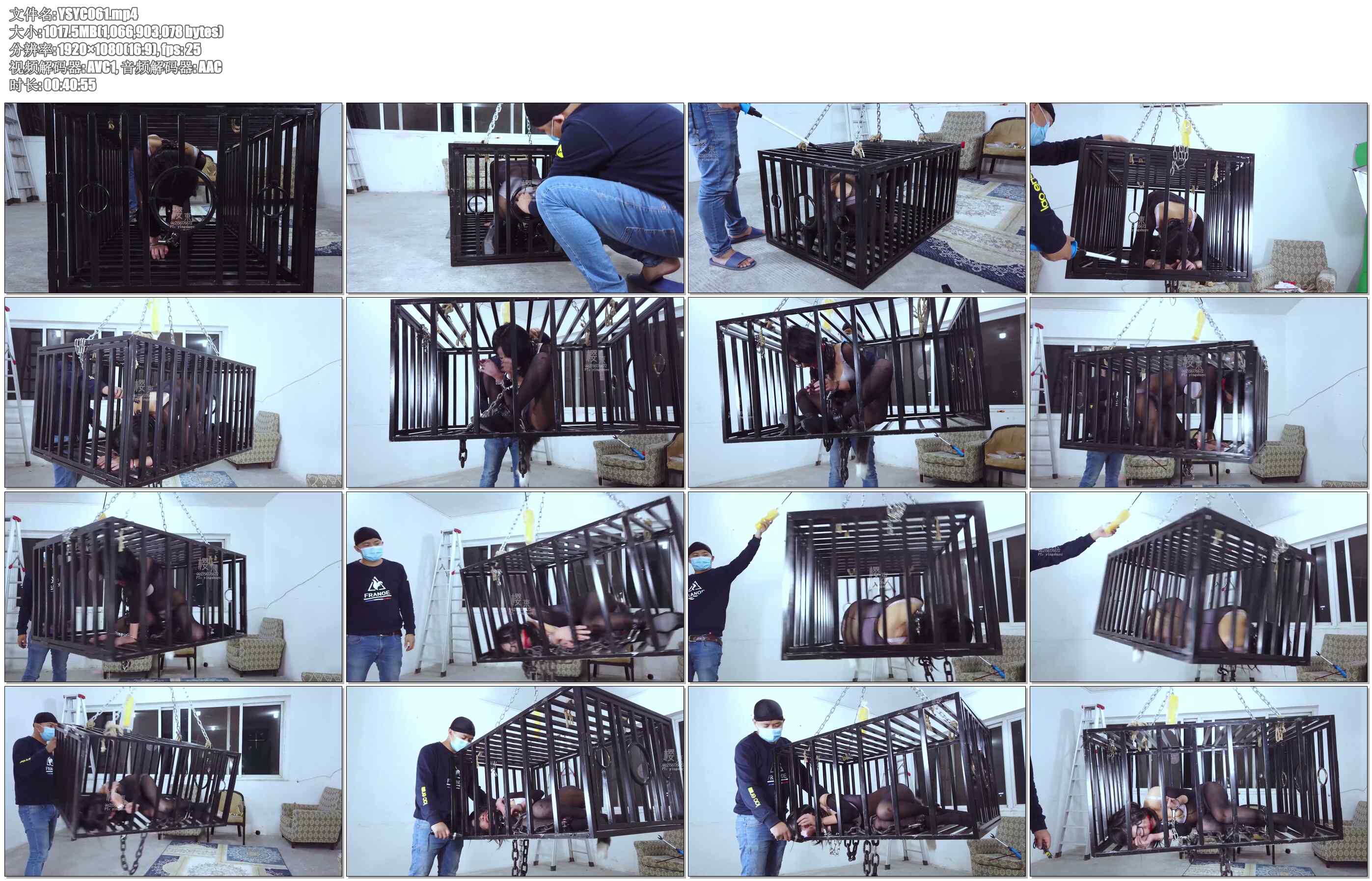 【樱束原创】相亲劫之笼中囚狐