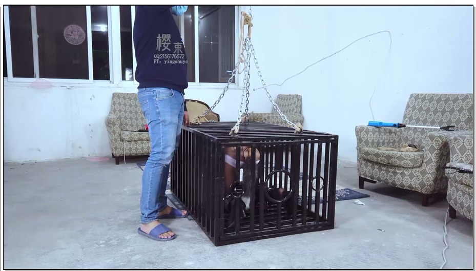 【樱束原创】相亲劫之笼中囚狐