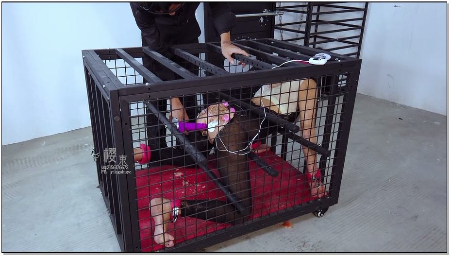 【樱束原创】超级变态之强塑身形 莉莉下班被变态盯上，并且尾随小丽到楼道用药迷晕，…