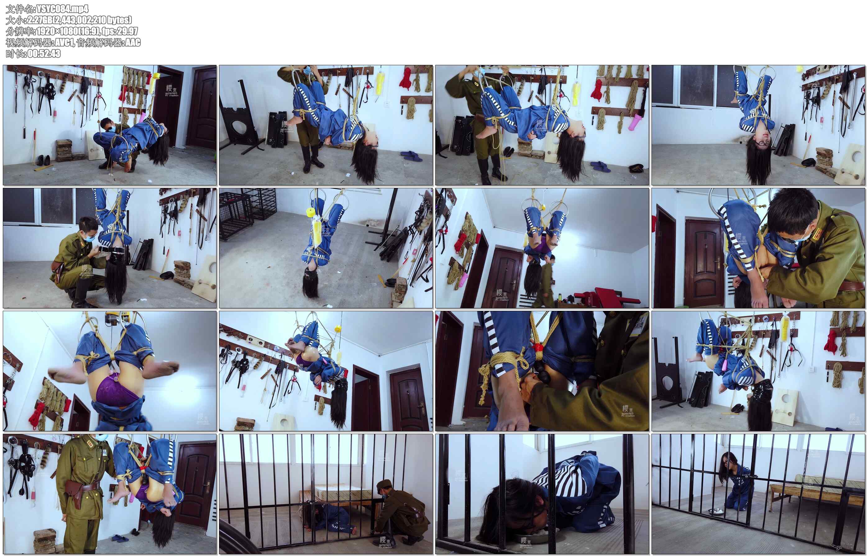 【樱束原创】侠盗燕子之侠盗末路 燕子夜行到军统偷地下人员名单，经过激烈搏斗最终被…