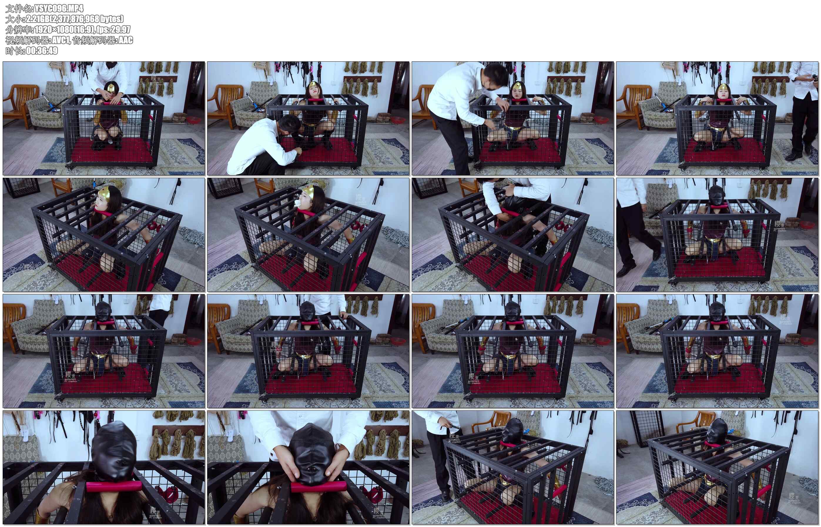 【樱束原创】神奇女侠续集一