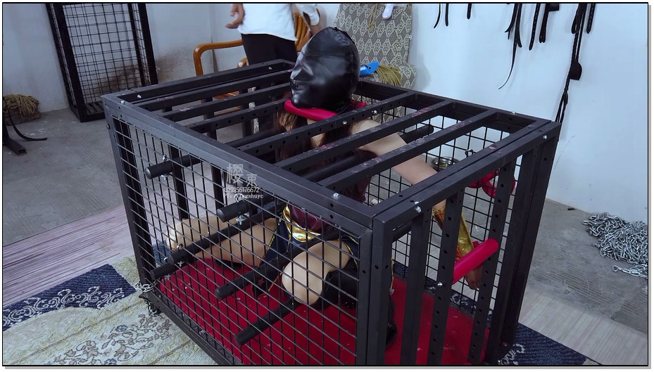 【樱束原创】神奇女侠续集一