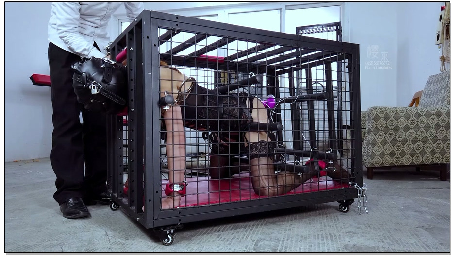 【樱束原创】完全禁锢六